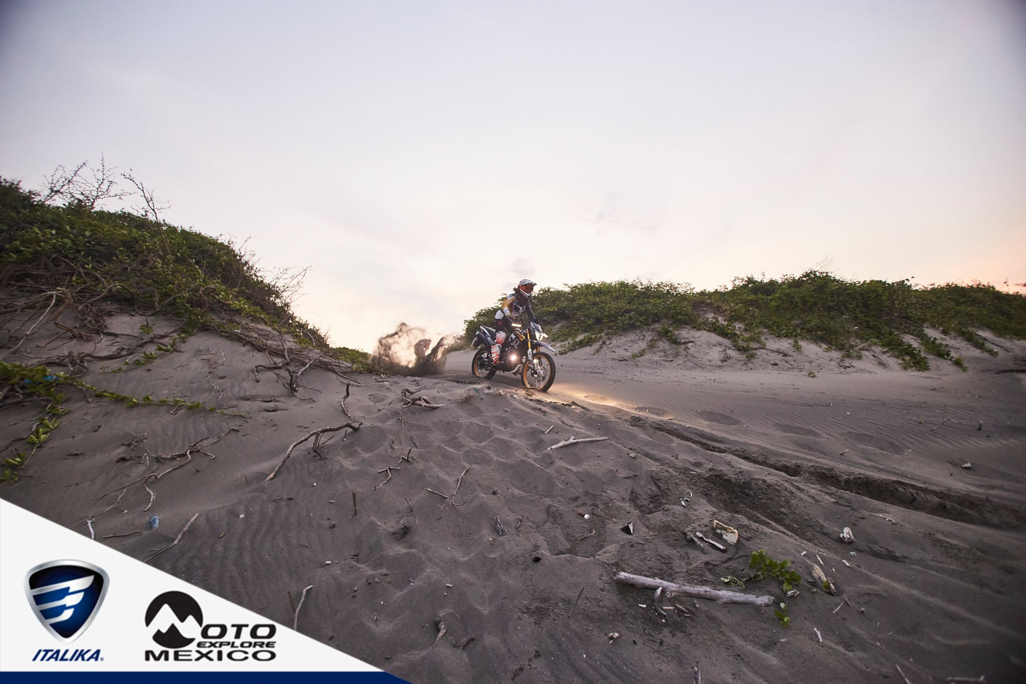 ITALIKA CHACHALACAS D1 429